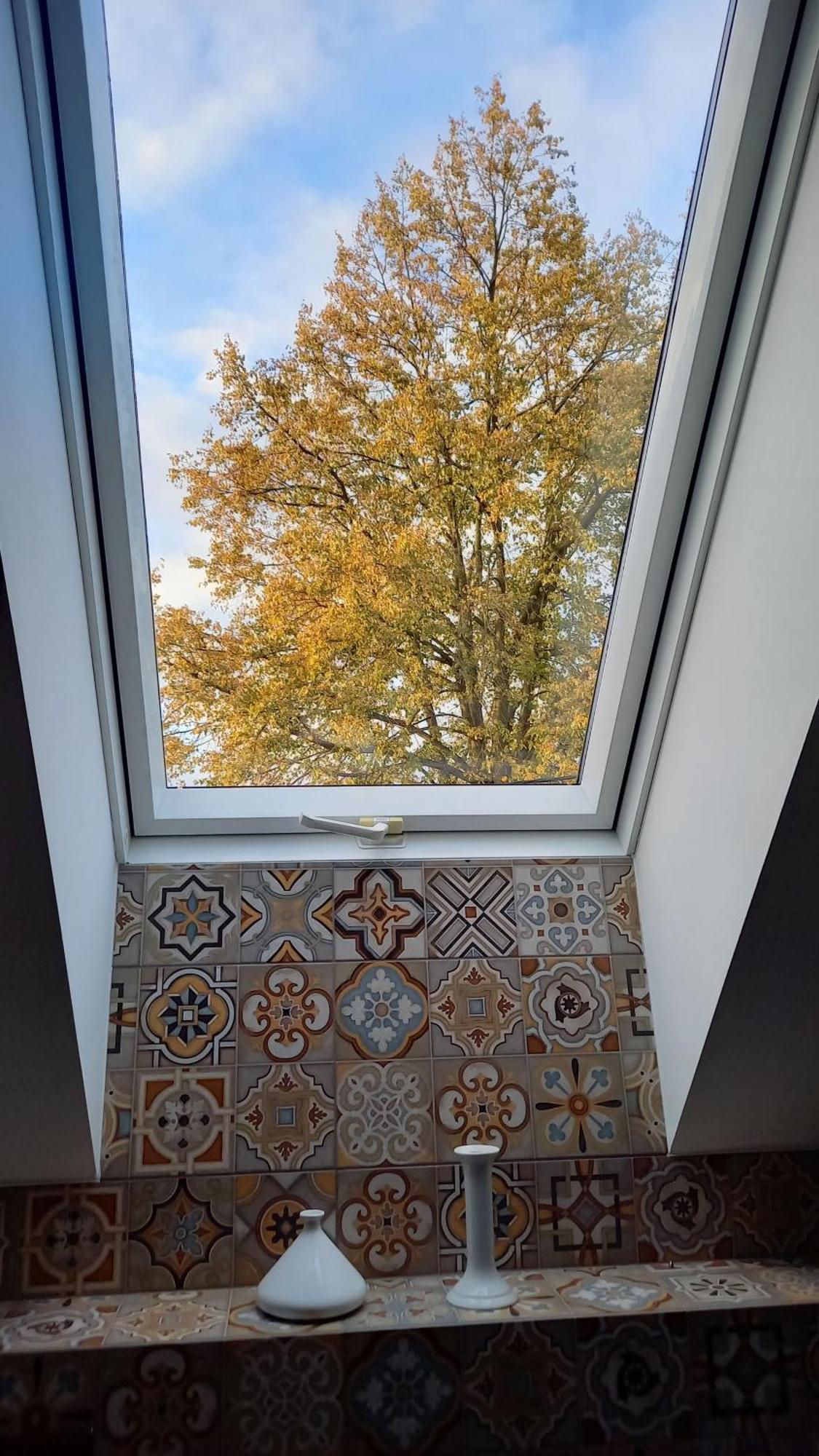 U Janciow Villa Krakow Ngoại thất bức ảnh